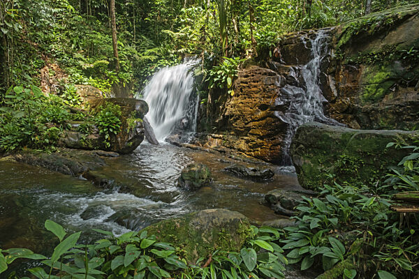 Cachoeira da Onça, Wasserfall im Dschungel, Regenwald...