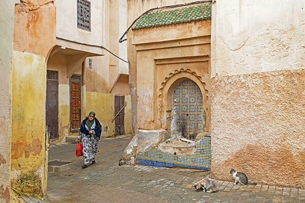 Katzen und muslimische Frau mit Djellaba, Jillaba und Hijab in der Gasse der...