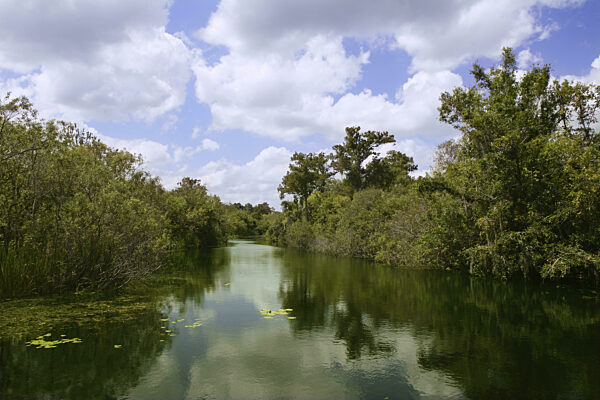 Mangroove Fluss in den Everglades Florida Landschaftsansicht