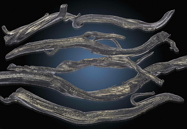 Dysprosium ist ein chemisches Element mit dem Symbol Dy und der Ordnungszahl...