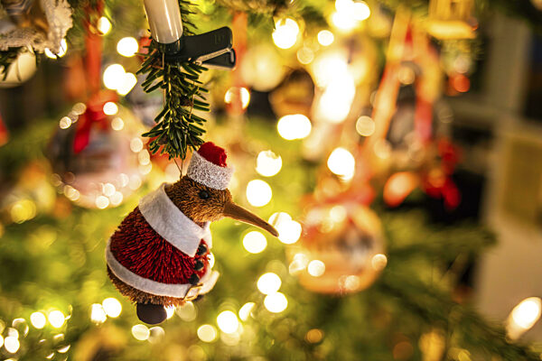 Christbaumschmuck am Weihnachtsbaum, Kiwi als Weihnachtsmann, Leoben...