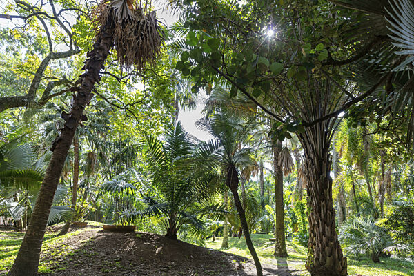 Botanical Garden, Medellin, Kolumbien, Südamerika