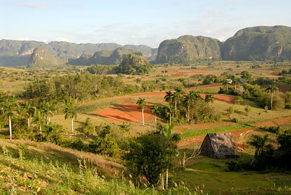 Tabakfelder in der Provinz Pinar del Rio, Vinales, Kuba, Mittelamerika