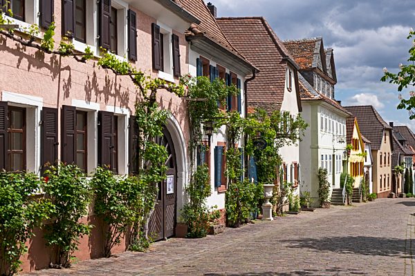 Historische Theresienstraße, Rhodt unter Rietburg, Deutsche Weinstraße, auch Südliche Weinstraße, Pfalz, Rheinland-Pfalz, Deutschland, Europa