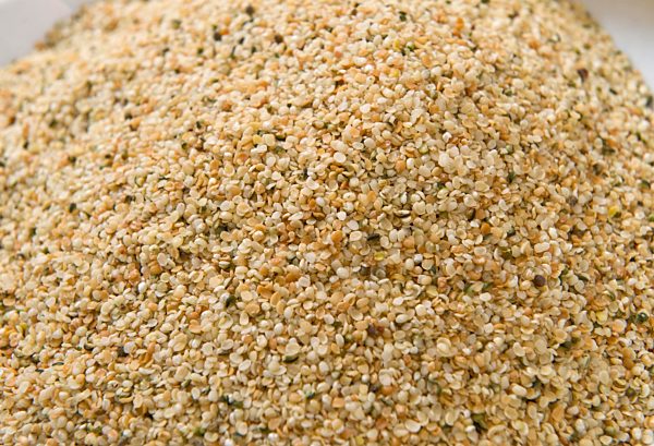 Geröstete Hanfsamen