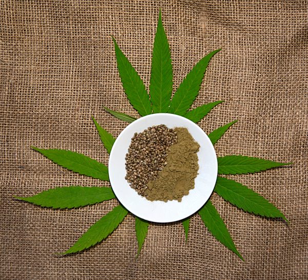 Hanfblätter (Canabis) mit Hanfsamen und gemahlener Hanfsamen