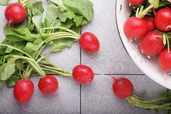 Frische Bioradieschen, Radieschen