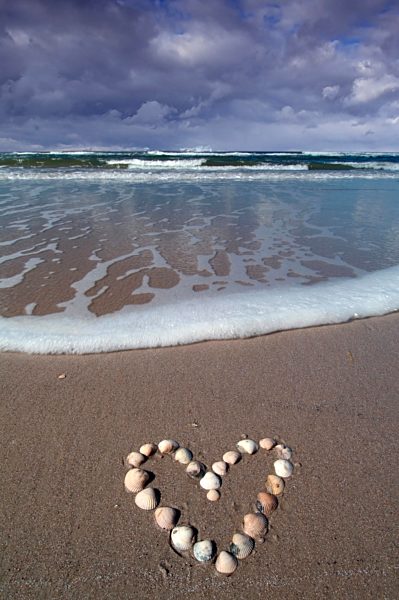 Herz aus Muscheln im Sand am Strand an der Nordsee in Dänemark