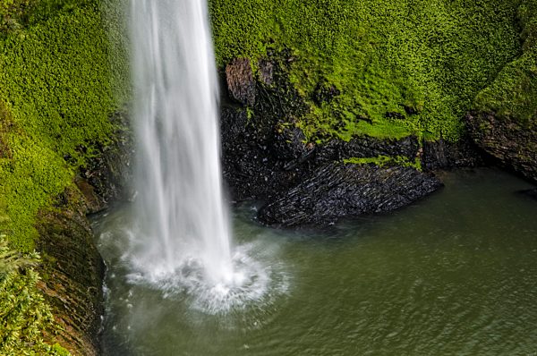 Bridal Veil Falls, dichter Regenwald, Raglan, Waikato, Nordinsel, Neuseeland, Ozeanien
