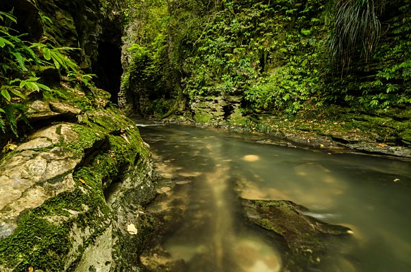 Bach im Ruakuri Bush and Scenic Reserve, Waitomo, King Country, Nordinsel, Neuseeland, Ozeanien