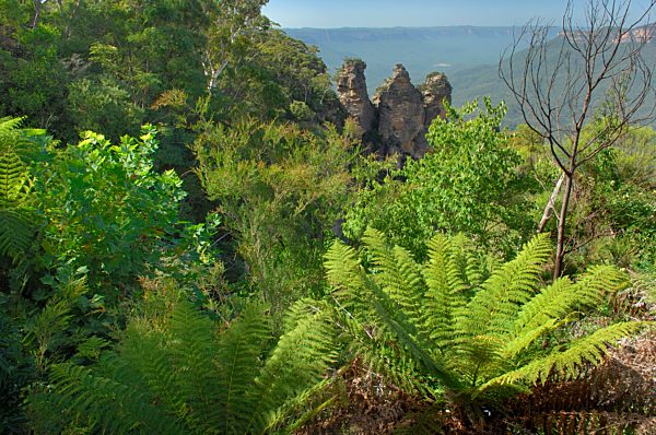 Blue Mountains mit Sicht auf die Three Sisters, New South Wales, Australien, Ozeanien