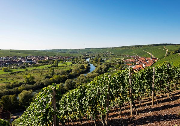 Old Main in the Main loop near Volkach, left Nordheim am Main, right Escherndorf, Mainfranken, Unterfranken, Franken, Bayern, Deutschland, Europa