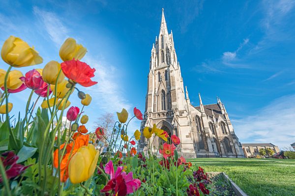 Tulpen blühen vor der First Church of Otago, Dunedin, Otago, Südinsel, Neuseeland, Ozeanien