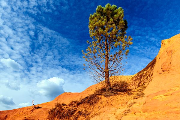 Ockersteinbruch Colorado Provençal, Rustrel, Provence-Alpes-Côte d'Azur, Frankreich, Europa