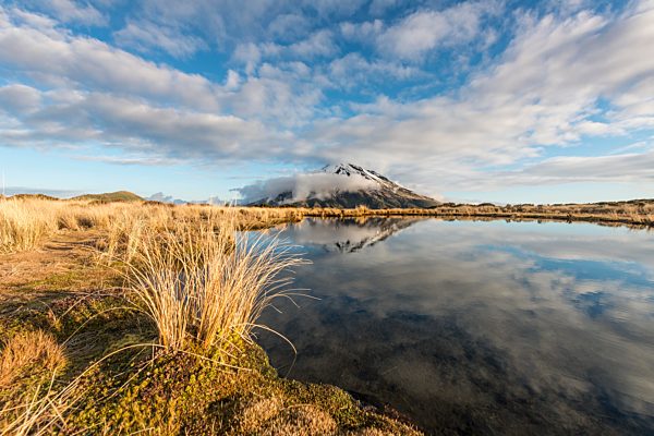 Spiegelung im Pouakai Tarn Bergsee, Stratovulkan Mount Taranaki oder Mount Egmont, Egmont National Park, Taranaki, Neuseeland, Ozeanien