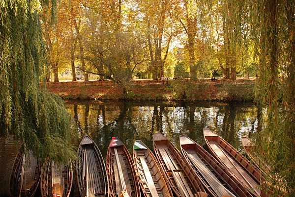 Stocherkäne auf dem Neckar beim Hölderlinturm Tübingen Baden Württemberg Deutschland