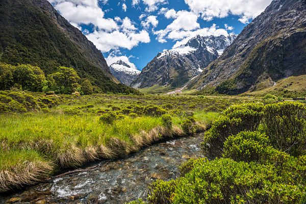 Bachlauf im Fiordland Nationalpark, hinten Mount Talbot, Milford Highway, Südinsel, Neuseeland, Ozeanien