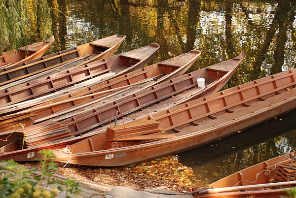 Stocherkäne auf dem Neckar beim Hölderlinturm Tübingen Baden Württemberg Deutschland