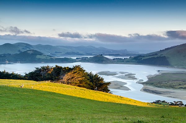 Sattgrünes Weideland vor Gezeitenbucht Hoopers Inlet, Otago, Südinsel, Neuseeland, Ozeanien