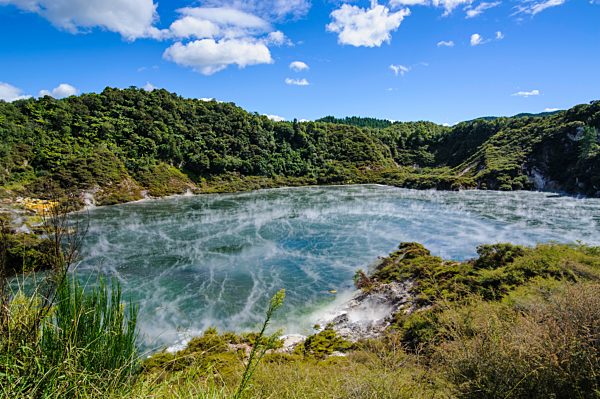 Frying Pan Lake, größte heiße Quelle der Welt, Geothermalgebiet, Waimangu Volcanic Rift Valley, Nordinsel, Neuseeland, Ozeanien