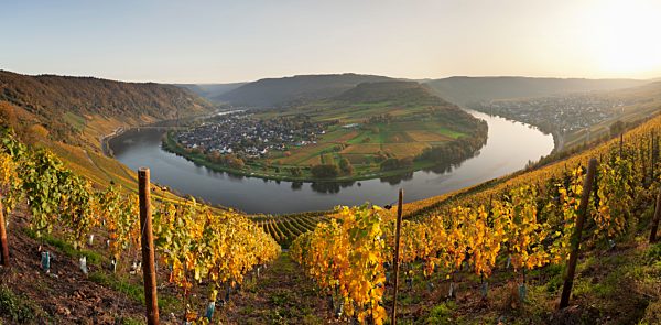 Ausblick auf Moselschleife bei Kröv, Mosel, Rheinland-Pfalz, Deutschland, Europa