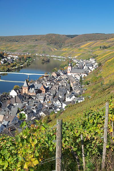 Blick von den Weinbergen nach Zell an der Mosel, Rheinland-Pfalz, Deutschland, Europa