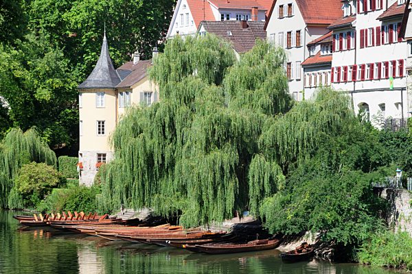 Hölderlinturm und Stocherkähne am Neckar, Tübingen, Baden-Württemberg, Deutschland, Europa