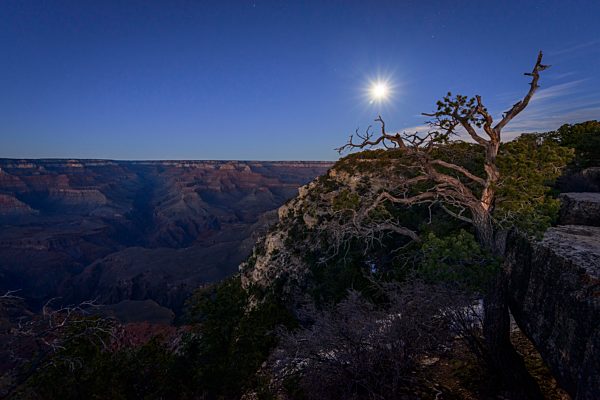 Schlucht des Grand Canyon bei Mondlicht, Vollmond, Nachtaufnahme, Blick vom Yavapai Point, erodierte Felslandschaft, South Rim, Grand Canyon Nationalpark, bei Tusayan, Arizona, USA, Nordamerika