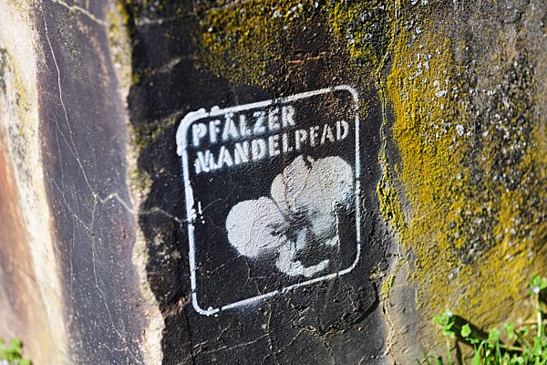 Wegmarkierung Pfälzer Mandelpfad, Edenkoben, Deutsche Weinstraße, Rheinland-Pfalz, Deutschland, Europa