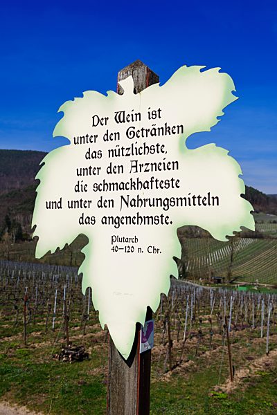 Weinblatt mit Spruch, Lehrpfad am Weinberg von Gimmeldingen, Pfälzer Weinsteig, Neustadt an der Weinstraße, Rheinland-Pfalz, Deutschland, Europa
