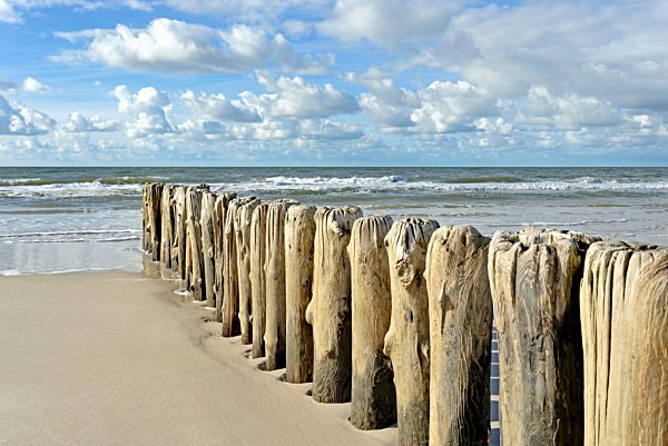 Buhnen, Holzpfähle als Wellenbrecher am Strand bei Kampen, Sylt, Nordfriesische Insel, Nordsee, Nordfriesland, Schleswig-Holstein, Deutschland, Europa