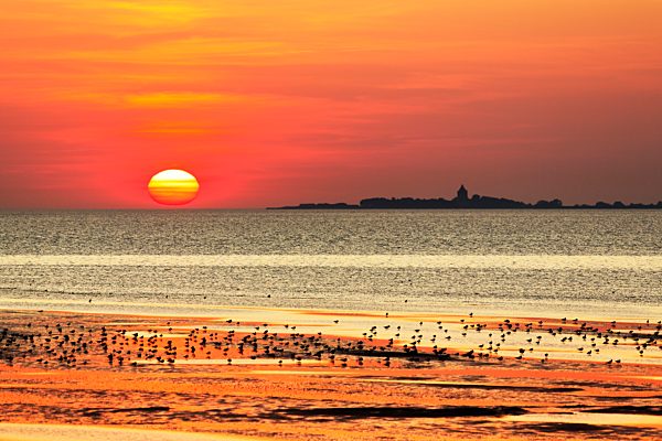 Orangener Sonnenuntergang über der Nordsee, Insel Neuwerk, Silhouette, Duhnen, Cuxhaven, Niedersachsen, Deutschland, Europa