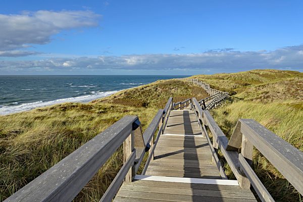 Bohlenweg in den Dünen, Strand zwischen Wenningstedt und Kampen, Sylt, Nordfriesische Insel, Nordsee, Nordfriesland, Schleswig-Holstein, Deutschland, Europa