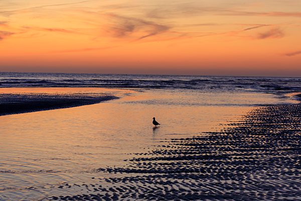 Sonnenuntergang bei Ebbe am Wattenmeer, Insel Amrum, Nordsee, Nordfriesische Insel, Schleswig-Holstein, Deutschland, Europa
