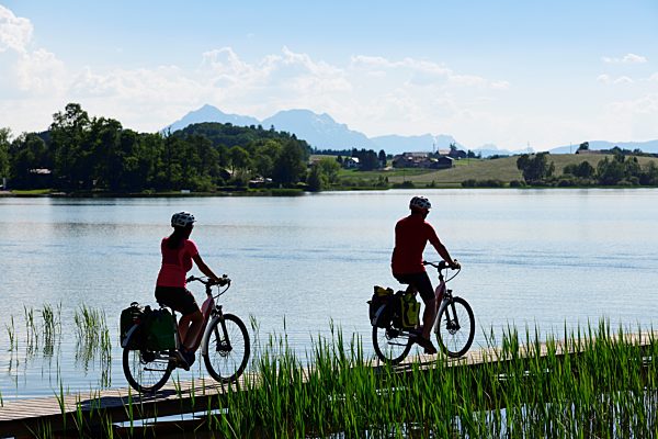 Paar mit E-Bikes fährt am Uferweg des Wallersees bei Seebrunn auf dem Via Nova Radweg, Salzburger Seenland, Salzburger Land, Österreich, Europa