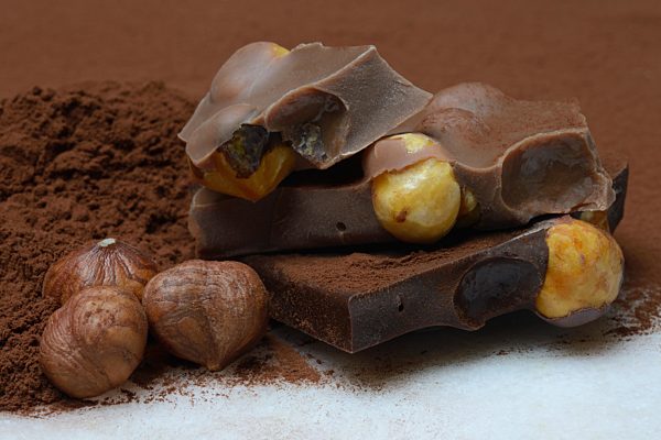 Schokolade mit ganzen Haselnüssen, Haselnüsse und Kakaopulver, Deutschland, Europa