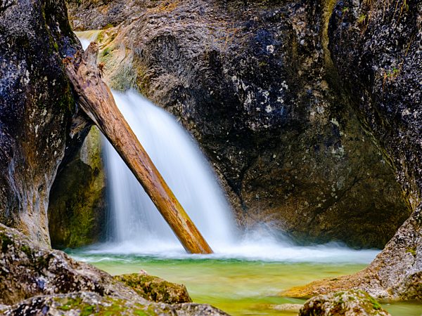 Baumstamm liegt in einem Wasserfall der Almbachklamm, Marktschellenberg, Berchtesgadener Land, Oberbayern, Bayern, Deutschland, Europa