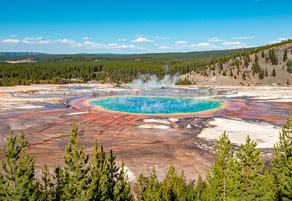 Dampfende heiße Quelle mit farbigen Mineralienablagerungen und türkisem Wasser, Grand Prismatic Spring, Midway Geyser Basin, Yellowstone Nationalpark, Wyoming, USA, Nordamerika