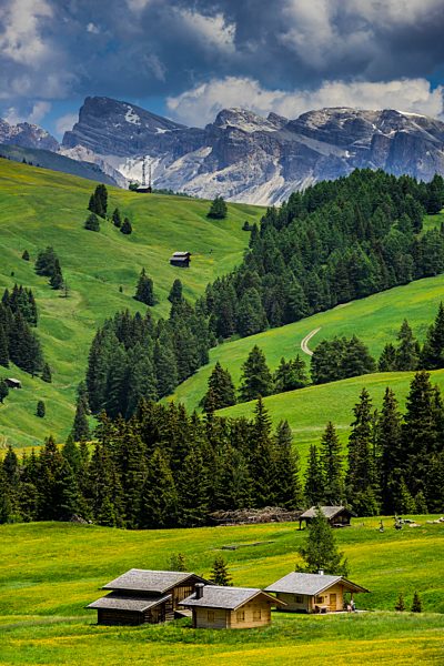Blick über die Seiseralm auf Gipfel der Dolomiten, Südtirol, Italien, Europa