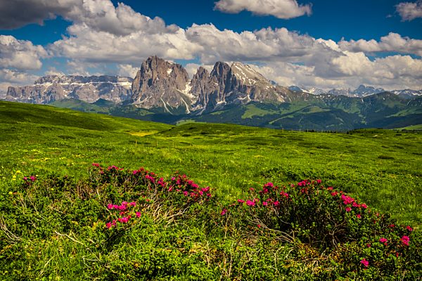 Blick auf die Gipfel des Langkofels (links) und des Plattkofels (rechts), Seiseralm, Südtirol, Italien, Europa