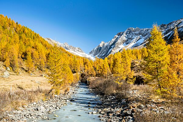 Fluss Lonza mit Aletschhorn und Schinhorn, Lötschenlücke, Fafleralp, Lötschental, Wallis, Schweiz, Europa