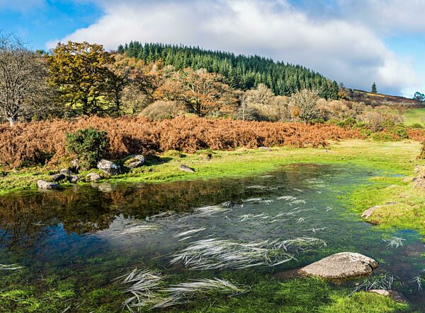 Gefrorenes Gras in Herbstfarben über dem Fluss Dart in Langzeitbelichtung, Dartmoor Park, Devon, England, Großbritannien, Europa