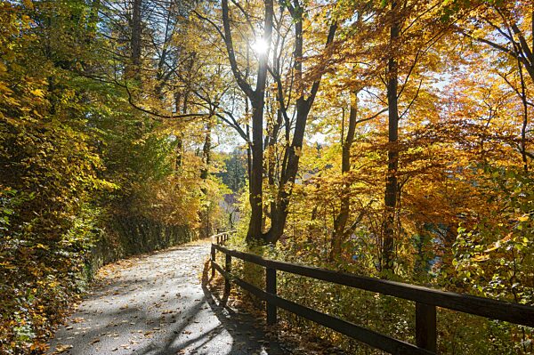 Aufgang zur Burghalde im Herbstlaub, Kempten, Allgäu, Bayern, Deutschland, Europa