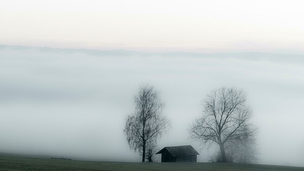Nebelstimmung mit Laubbäumen und Hütte, Mindelheim, Unterallgäu, Bayern, Deutschland, Europa