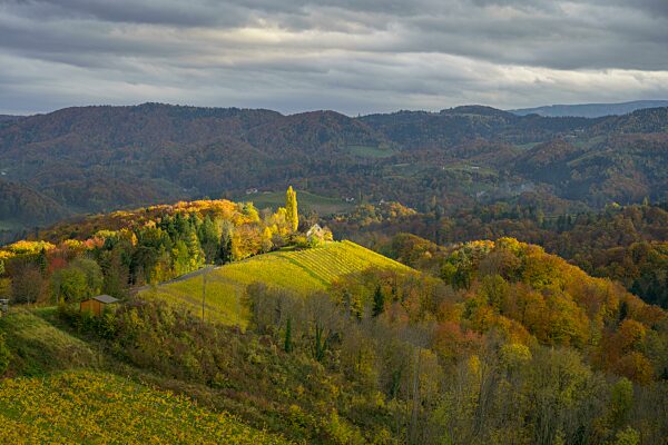 Sonnenspots auf der herbstlichen Landschaft, Glanz an der Weinstraße, Steiermark, Österreich, Europa