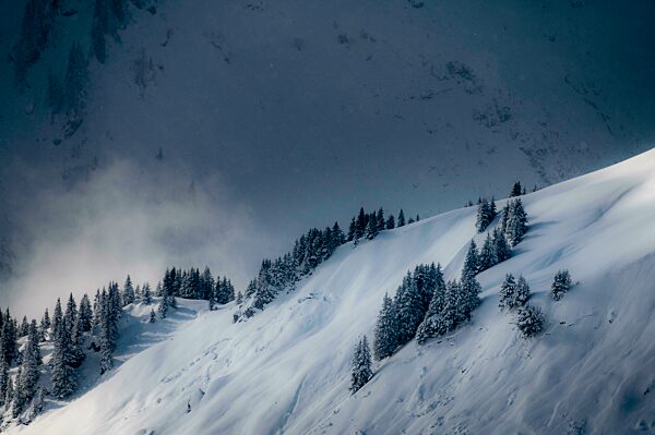 Verschneite Winterlandschaft mit Nebel Baad, Kleinwalsertal, Vorarlberg, Österreich, Europa