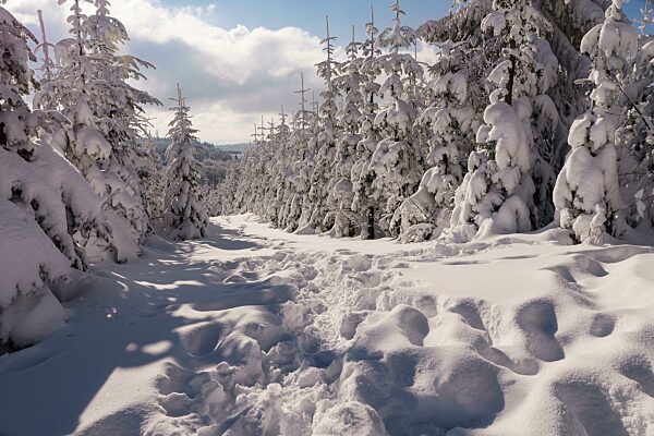 Winterlandschaft auf dem Kahlen Asten im Sauerland, Nordrhein-Westfalen, Deutschland, Europa