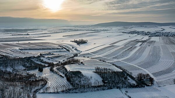 Winterliche Landschaft mit Weingärten und Felder, Luftaufnahme, Pulkautal, Weinviertel, Niederösterreich, Österreich, Europa