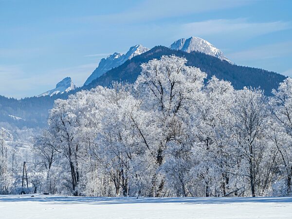 Winterlandschaft, Pürgschachen Moor im Winter, verschneite Berggipfel im Gesäuse, Ardning, Steiermark, Österreich, Europa