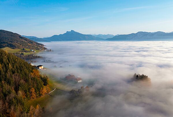 Drohnenaufnahme, Herbstlich verfärbter Wald ragt aus dem Bodennebel, Inversionswetterlage, Mondsee, Mondseeland Salzkammergut, Oberösterreich, Österreich, Europa